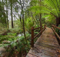 The Source Otways - Accommodation Tasmania