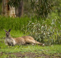 The Stirling Golf Club - Accommodation Tasmania