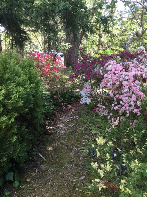 The Wentworth Retreat - Accommodation Tasmania 3