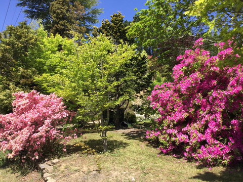 The Wentworth Retreat - Accommodation Tasmania 1