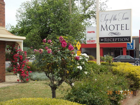 Top Of The Town Motel - Accommodation Tasmania 3