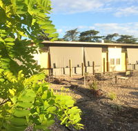Tread Harcourt - Accommodation Tasmania