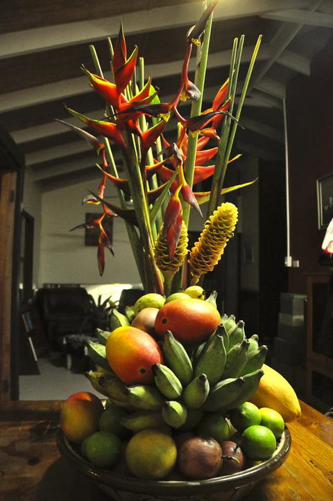 Tropical Bliss Bed And Breakfast - Accommodation Tasmania 3