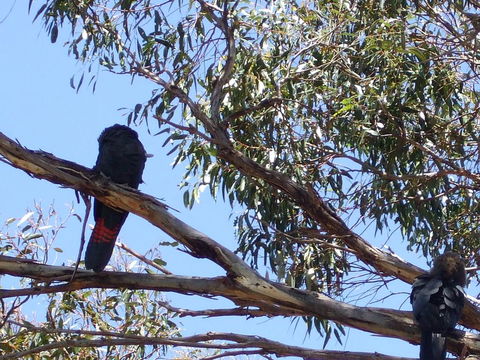 Wanderers Rest Of Kangaroo Island - Accommodation Tasmania 2