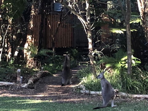Wanderers Retreat - Accommodation Tasmania 2