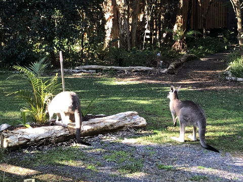 Wanderers Retreat - Accommodation Tasmania 3