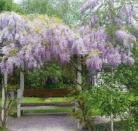 Amelina Cottages - Accommodation Tasmania