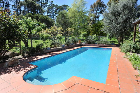 Lavender Farm - Accommodation Tasmania 1