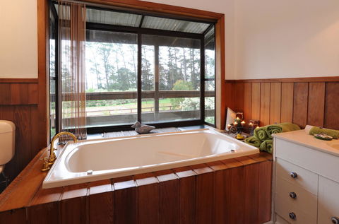 Lavender Farm - Accommodation Tasmania 3