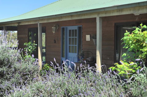 Lavender Farm - Accommodation Tasmania 8