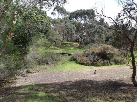 Elevated Holiday House Overlooks Tranquil Wetlands - Accommodation Tasmania 11