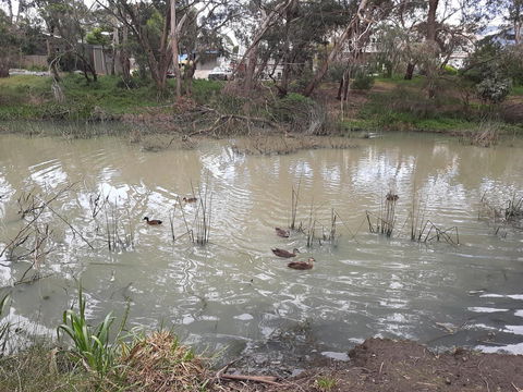 Elevated Holiday House Overlooks Tranquil Wetlands - Accommodation Tasmania 12