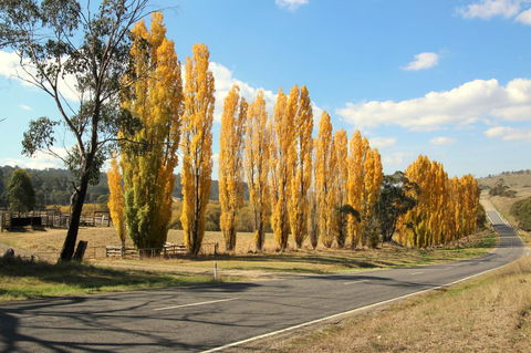 3 Bells Alpine Cottage - Accommodation Tasmania 20