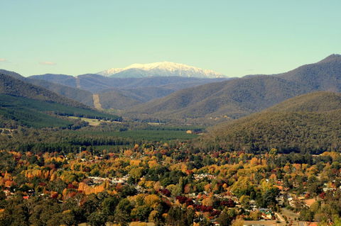 3 Bells Alpine Cottage - Accommodation Tasmania 24