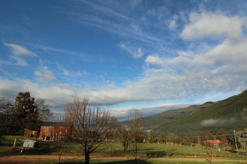 3 Bells Alpine Cottage - Accommodation Tasmania 26