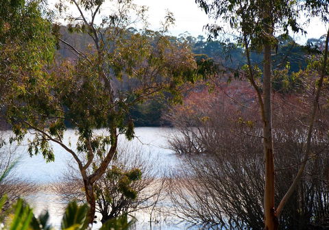 Lake Como Villa - Accommodation Tasmania 10