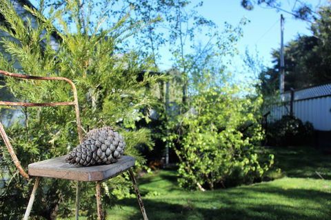 Cottage 4A - Accommodation Tasmania 13