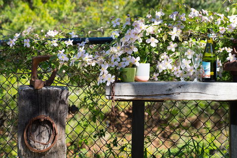 Cottage 4A - Accommodation Tasmania 4