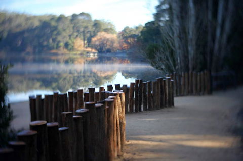 Minni Gums - Accommodation Tasmania 4