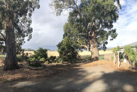Minni Gums - Accommodation Tasmania 18