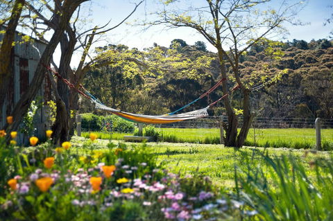 Cabrito - Accommodation Tasmania 3