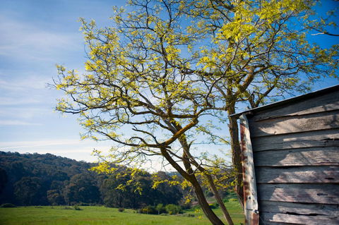 Cabrito - Accommodation Tasmania 9
