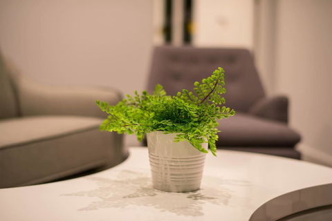 Astrina 2 Bed 2 Bath Apartment - Accommodation Tasmania 4
