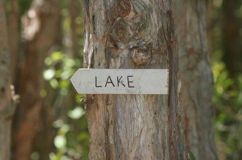 Lake Weyba Noosa Lodge & Kangaroos - Accommodation Tasmania 36
