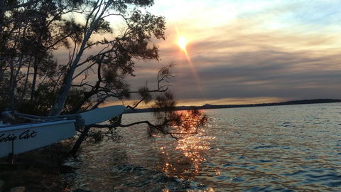 Lake Weyba Noosa Lodge & Kangaroos - Accommodation Tasmania 40