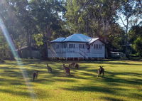Book Peregian Beach Accommodation Vacations Accommodation Tasmania Accommodation Tasmania