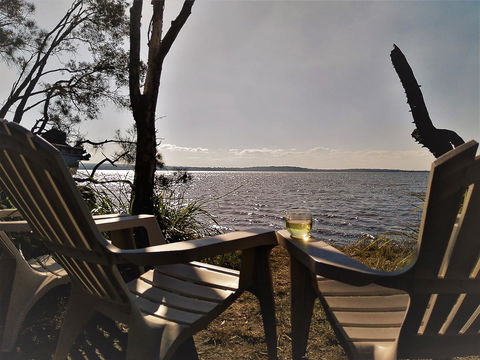 Lake Weyba Noosa Lodge & Kangaroos - Accommodation Tasmania 3