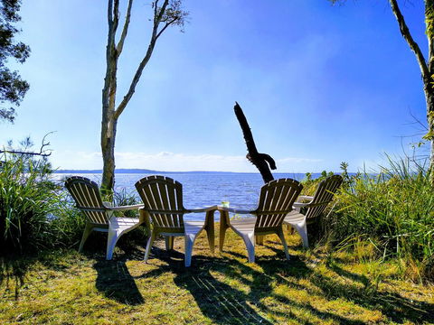 Lake Weyba Noosa Lodge & Kangaroos - Accommodation Tasmania 44