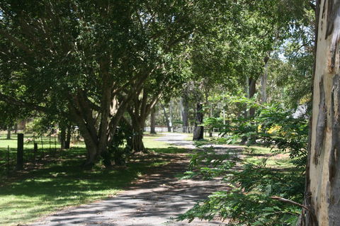 Lake Weyba Noosa Lodge & Kangaroos - Accommodation Tasmania 34