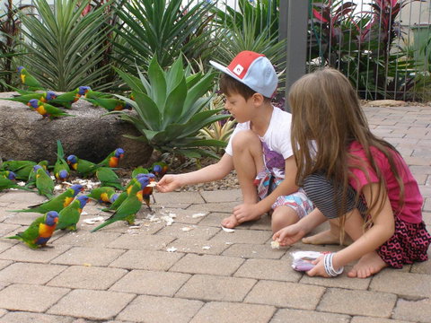 Island Leisure Resort - Accommodation Tasmania 25