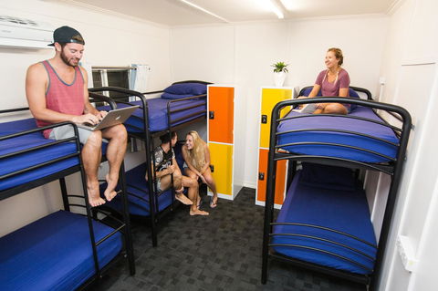 Mad Monkey Central - Accommodation Tasmania 21