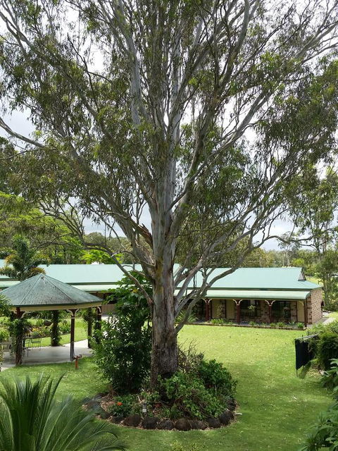 The Bearded Dragon Boutique Hotel - Accommodation Tasmania 32