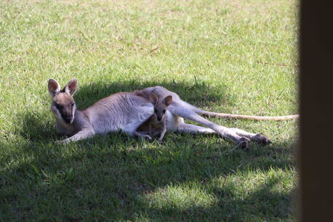The Hideaway Agnes Water (Adults Only) - Accommodation Tasmania 42