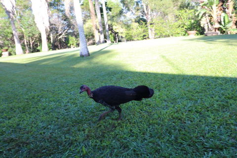 The Hideaway Agnes Water (Adults Only) - Accommodation Tasmania 41