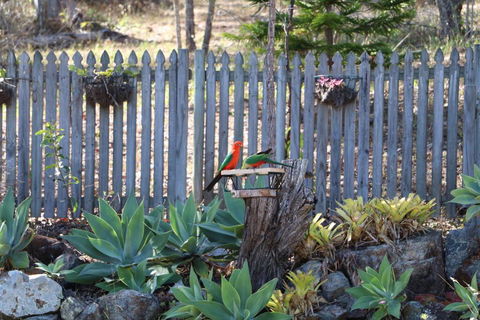 The Hideaway Agnes Water (Adults Only) - Accommodation Tasmania 40