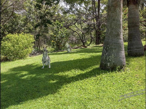 The Hideaway Agnes Water (Adults Only) - Accommodation Tasmania 23