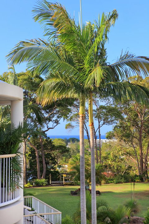 Serenity Apartments Noosa - Accommodation Tasmania 14