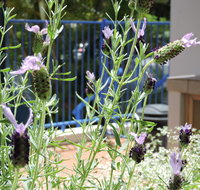 Surfers Beach Resort One - Accommodation Tasmania