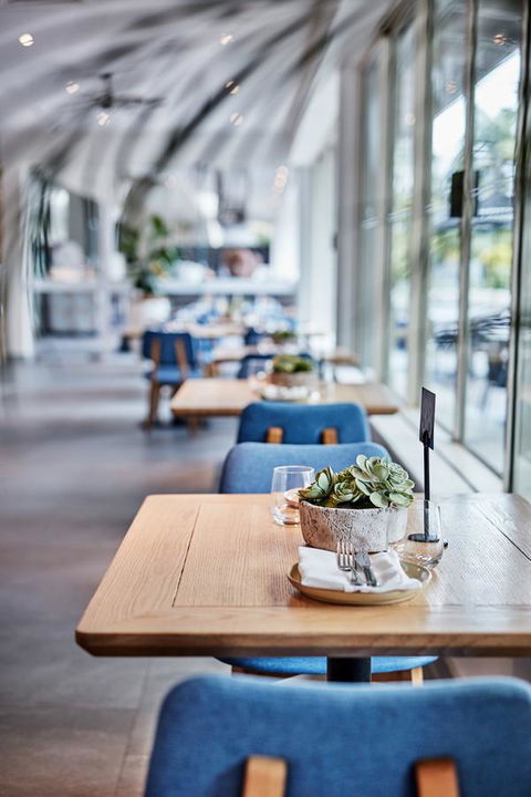 Novotel Cairns Oasis Resort - Accommodation Tasmania 19