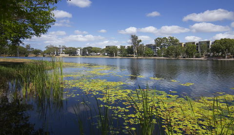 Jacana Apartments - Accommodation Tasmania 15