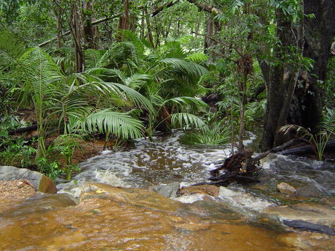 Forest Lodge: Little Villa - Accommodation Tasmania 17