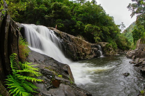 Coral Tree Inn - Accommodation Tasmania 40