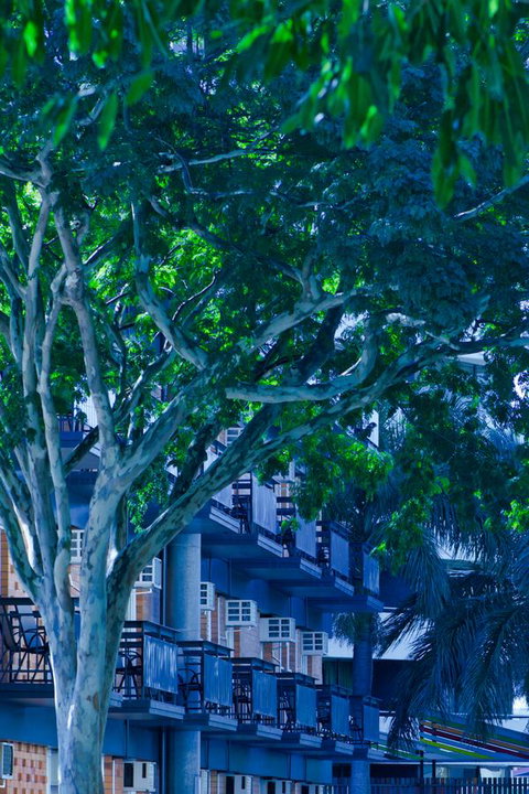 Soho Brisbane - Accommodation Tasmania 12