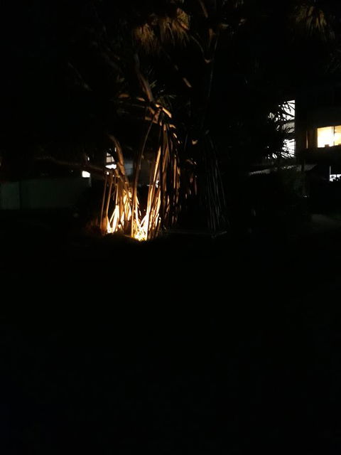 Pandanus Coolum Beach - Accommodation Tasmania 8