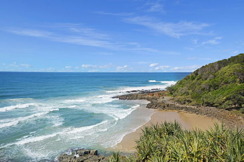 Pandanus Coolum Beach - Accommodation Tasmania 12