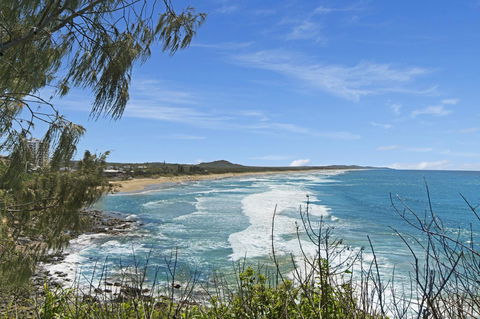 Pandanus Coolum Beach - Accommodation Tasmania 17